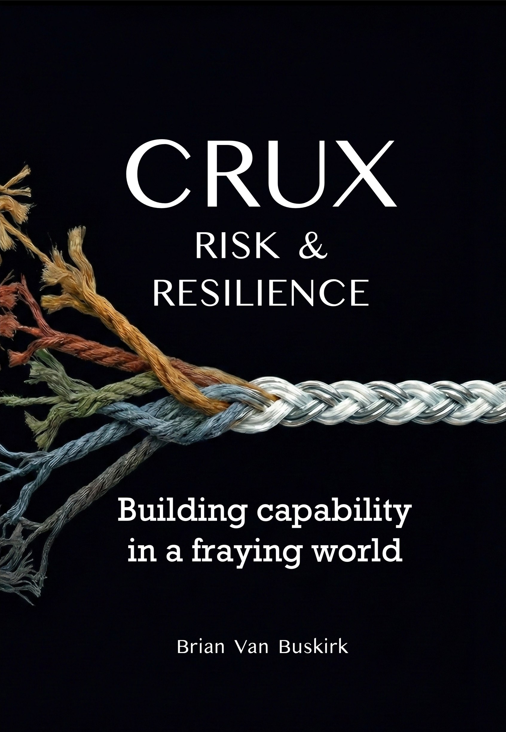 CRUX: Risk & Resilience front cover